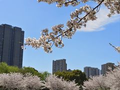 -诺贝尔湖公园