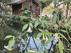 -成都市活水公园