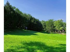 -云岗森林公园