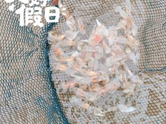 -东戴河风景区-止锚湾