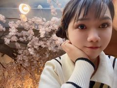 -猫猫幼稚园·撸猫·桌游·电玩