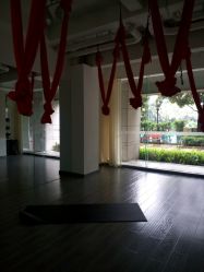 -榕树上·瑜伽普拉提