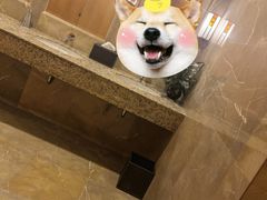 -上海明天广场JW万豪酒店