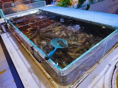 -聚盛源蒸汽海鲜火锅烤肉自助(巨川金海岸购物广场店)