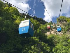 -王顺山国家森林公园