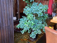 -颐和•海鲜砂锅粥•啫啫煲(奥林匹克广场店)