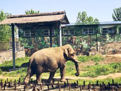 -西安秦岭野生动物园