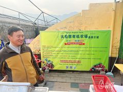 -大自然农场蔬菜草莓采摘园