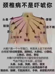 -香薇妮丝·定制减肥·身材管理