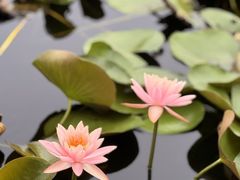 -尚贤河湿地