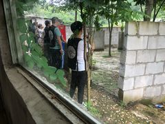 -东湖小天池真人CS彩弹野战基地
