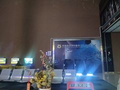 -幸福蓝海国际影城(芜湖IMAX店)