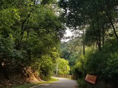 -灵岩山风景区