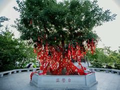 -西安华清御汤酒店