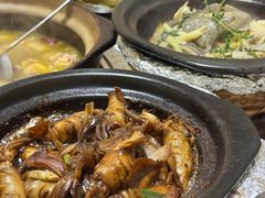 -楠波炭炉鸡煲馆(桥北店)