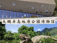 -青青世界