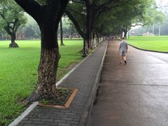 -中山大学学者灵芝(园南路店)