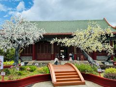 -珠海圆明新园