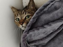 -CMC大光明影城(莲花店)