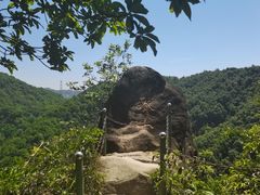 -南山植物园