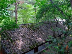 -蝶舞清江·恩施云顶景区(黄鹤峰林)