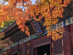 -香山公园