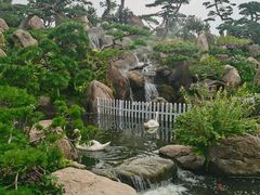 -罗红摄影艺术馆