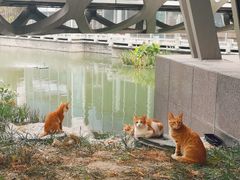 -杭州市城市规划展览馆