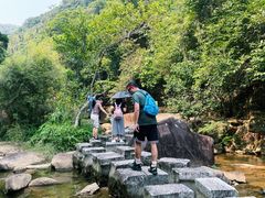 -广州白江湖森林公园