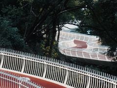 -金鸡山公园