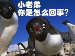 -JZ Club 爵士酒吧(上海店)