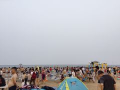 -碧海金沙
