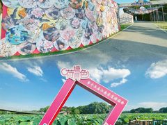 -荷塘月色湿地公园·向阳花洲