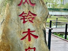 -映月湖公园