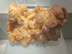 -湖南省地质博物馆