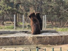 -秦皇岛野生动物园