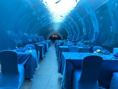 -海棠湾洲际-涛·海底餐厅·美人鱼·自助餐·海底隧道