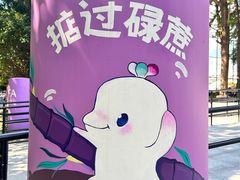 -天河体育中心