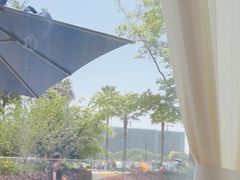 -鲨鱼菲特(金沙湖店)