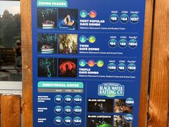 -怀托摩萤火虫洞