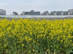 -浦江城市生活广场(江月路店)