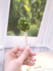 -悦诗风吟innisfree
