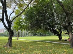-荔香公园