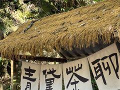 -青龙大瀑布
