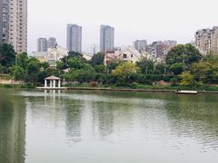 -金山公园