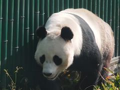 -沈阳森林动物园