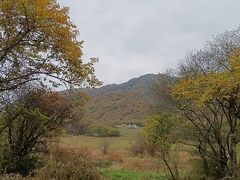 -大九湖