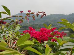 -水濂山森林公园