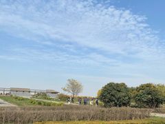 -汉景帝阳陵博物院