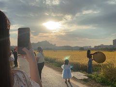 -光明小镇欢乐田园
